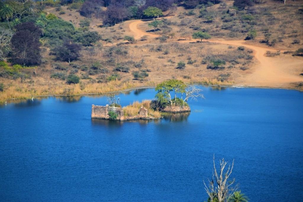 Another forest landscape in Ranthambore